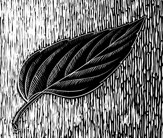 Right to Sanitation: A Gender Perspective